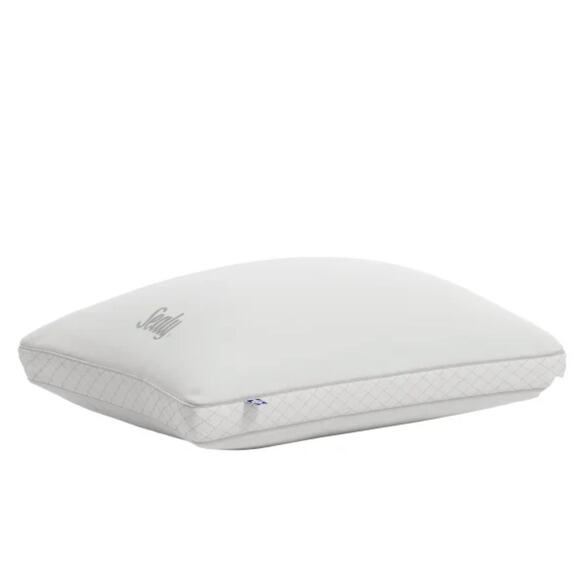 Sealy Sterling Collection Down-Alternative Pillow, 2-pack - Picture 1 of 5